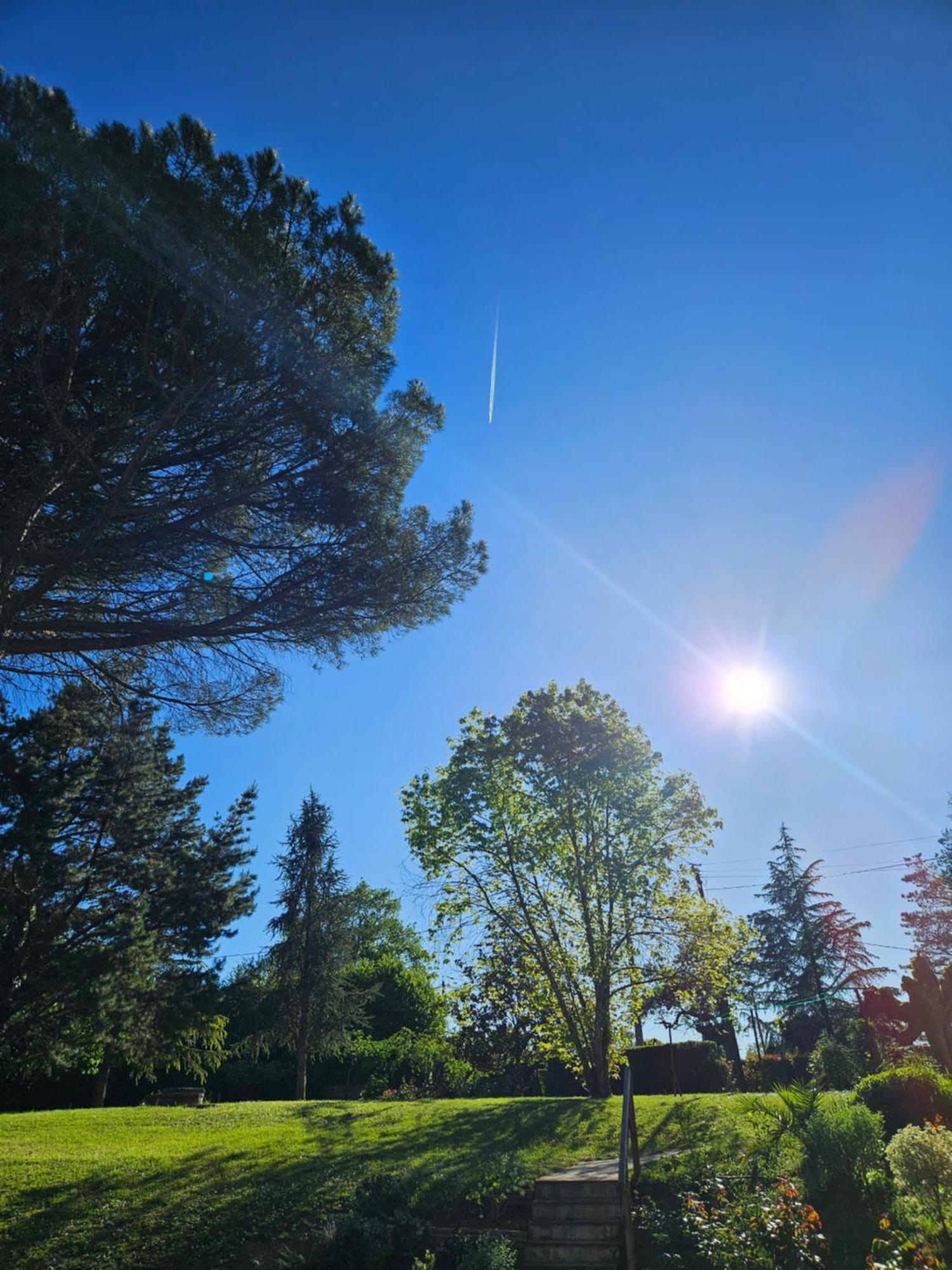 Bed and Breakfast Domaine De Belcayre Montauban Esterno foto