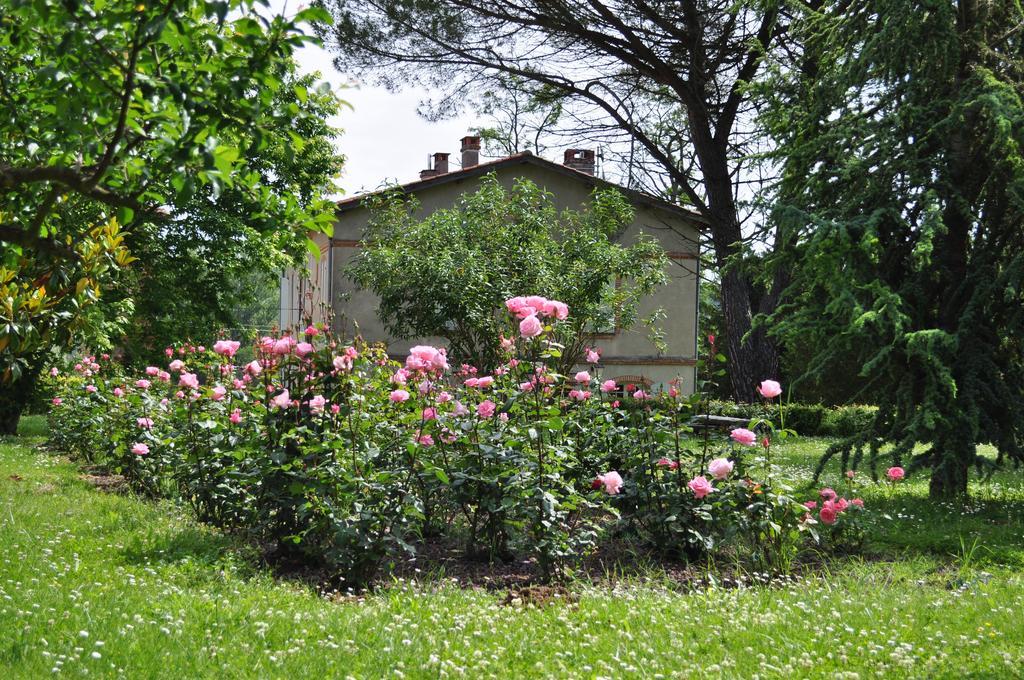 Bed and Breakfast Domaine De Belcayre Montauban Esterno foto